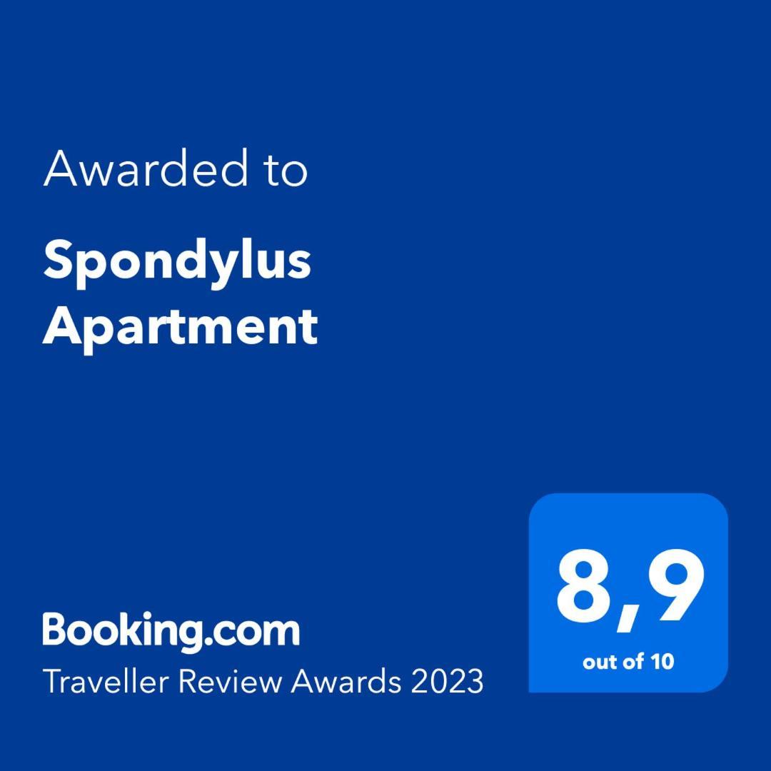 Spondylus Apartment Эмпуриабрава Номер фото